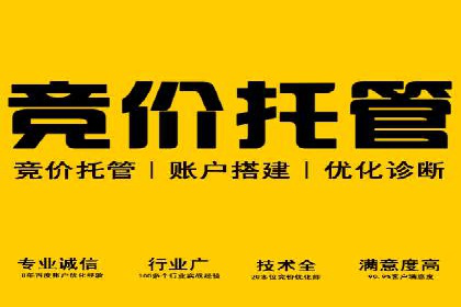 百度竞价托管外包成功案例：提升转化率的关键步骤